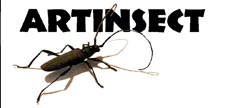 ART INSECT LECH KRUSZELNICKI