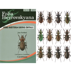 CARABINAE