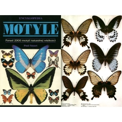 ENCYKLOPEDIA - MOTYLE ENCYKLOPEDIA - MOTYLE