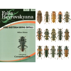 CERAMBYCIDAE