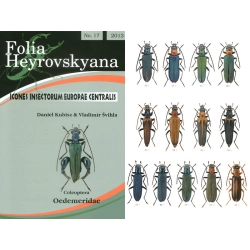 OEDEMERIDAE