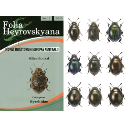 BYRRHIDAE