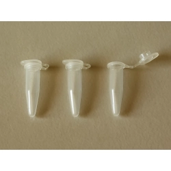 PROBÓWKA TYPU EPPENDORF 0,5ml 100 sztuk