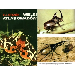 WIELKI ATLAS OWADÓW