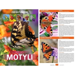 ATLAS MOTYLI ATLAS MOTYLI