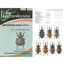 BRACHYCERIDAE, DRYOPHTHORIDAE, ERIRHINIDAE