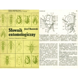 SŁOWNIK ENTOMOLOGICZNY SŁOWNIK ENTOMOLOGICZNY
