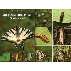 MOTYLE DZIENNE POLSKI - ATLAS BIONOMII