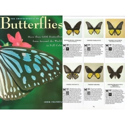THE ENCYKLOPEDIA OF BUTTERFLIES