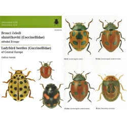 COCCINELLIDAE OF CENTRAL EUROPE