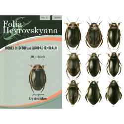 DYTISCIDAE