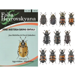 AGYRTIDAE, SILPHIDAE