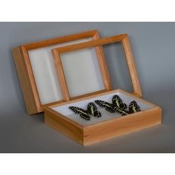 GABLOTA OLCHOWA Z WYKŁADZINĄ 24x18cm EKSKLUZYWNA GABLOTA OLCHOWA Z WYKŁADZINĄ 24x18cm EKSKLUZYWNA