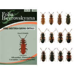 SILVANIDAE, PASSANDRIDAE, CUCUJIDAE, LAEMOPHLOEIDAE