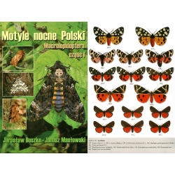 MOTYLE NOCNE POLSKI MACROLEPIDOPTERA I