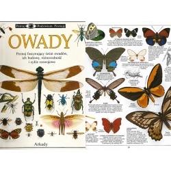 OWADY OWADY