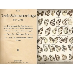 GROS SCHMETTERLINGE DER ERDE - TAFELN GROS SCHMETTERLINGE DER ERDE - TAFELN