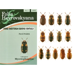MYCETOPHAGIDAE
