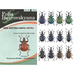 NEMONYCHIDAE, ATTELABIDAE