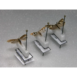 BLOCZKI POD MIKROOWADY 12x3x2,5mm