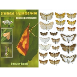 MICROLEPIDOPTERA I CRAMBIDAE THYRIDIDAE