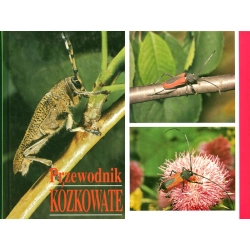 PRZEWODNIK KÓZKOWATE