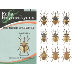 BRENTIDAE: NANOPHYINAE