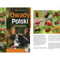 OWADY POLSKI - CHRZĄSZCZE