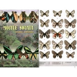 MOTYLE ŚWIATA - PAZIOWATE - PAPILIONIDAE