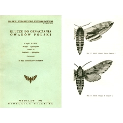 KLUCZE DO OZNACZANIA OWADÓW - ZAWISAKI - SPHINGIDAE