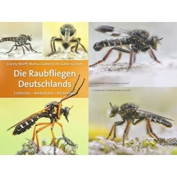 DIE RAUBFLIEGEN DEUTSCHLANDS DIE RAUBFLIEGEN DEUTSCHLANDS