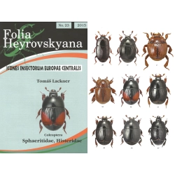 SPHAERITIDAE, HISTERIDAE