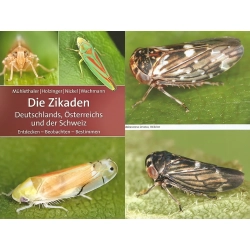 DIE ZIKADEN DEUTSCHLANDS OSTERREICHS UND DER SCHWEIZ DIE ZIKADEN DEUTSCHLANDS OSTERREICHS UND DER SCHWEIZ