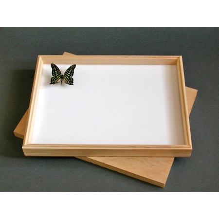 PUDŁO ENTOMOLOGICZNE Z WYKŁADZINĄ 40x30x6cm