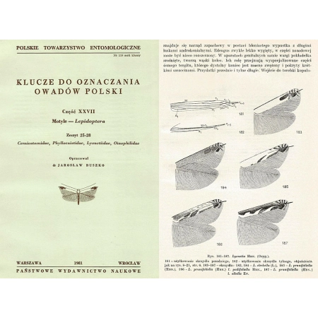 CEMIOSTOMIDAE - PHYLLOCNISTIDAE - LYONETIIDAE - OINOPHILIDAE