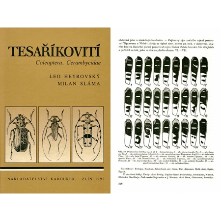 TESARIKOVITI, COLEOPTERA, CERAMBYCIDAE