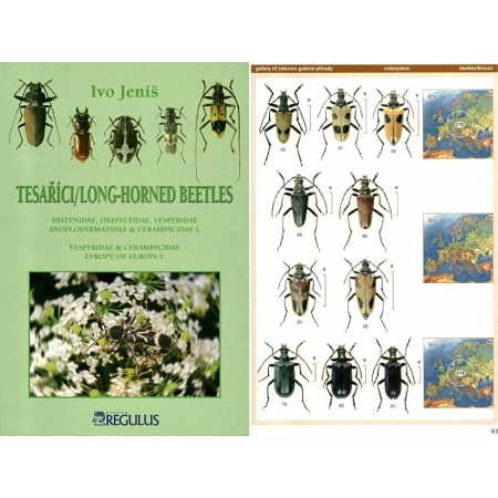 LONG-HORNED BEETLES OF EUROPE