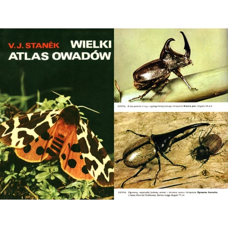 WIELKI ATLAS OWADÓW