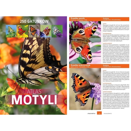 ATLAS MOTYLI