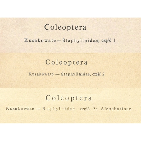 KATALOG FAUNY POLSKI KUSAKOWATE - STAPHYLINIDAE - CZĘŚĆ 1, 2, 3