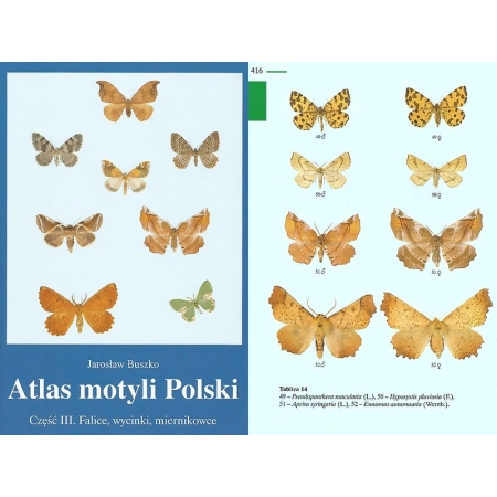 ATLAS MOTYLI POLSKI CZĘŚĆ III