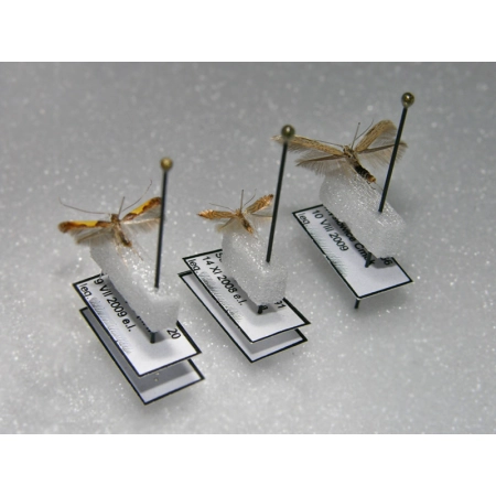 BLOCZKI POD MIKROOWADY 9x3x2,5mm
