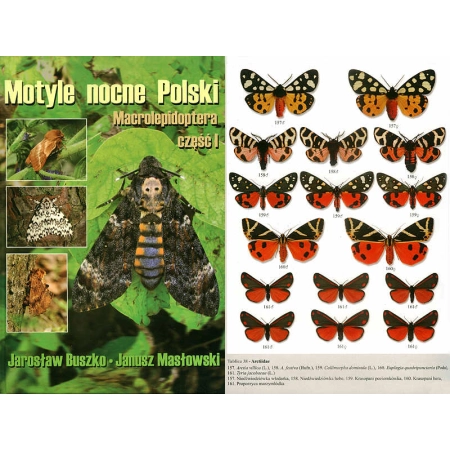 MOTYLE NOCNE POLSKI MACROLEPIDOPTERA I