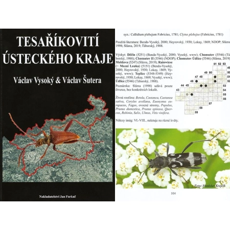 TESARIKOVITI USTECKEHO KRAJE