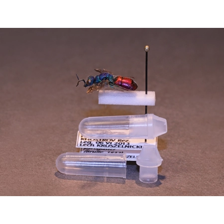 MIKROPROBÓWKA 0,05ml