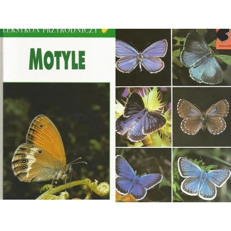 MOTYLE LEKSYKON PRZYRODNICZY