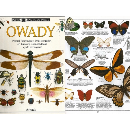 OWADY