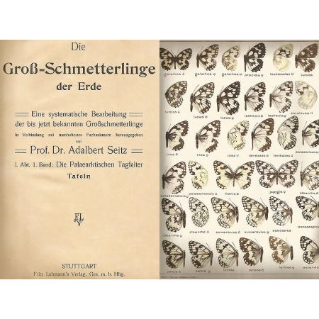 GROS SCHMETTERLINGE DER ERDE - TAFELN