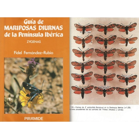 GUIA DE MARIPONAS DIURNAS DE LA PENINSULA IBERICA ZYGENAS