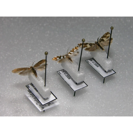 BLOCZKI POD MIKROOWADY 12x3x2,5mm